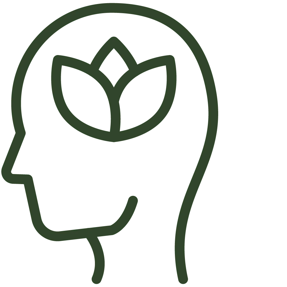 Health icon