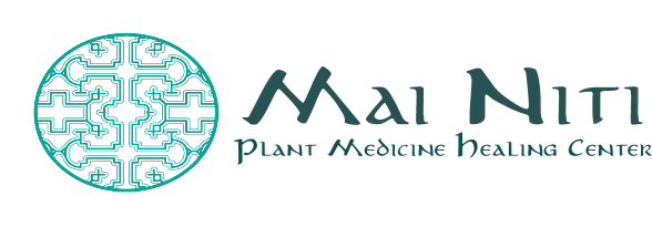 Mai Niti Logo