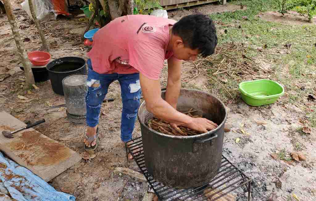 Assistants of Mai Niti in the preparation of the ayahuasca plant.