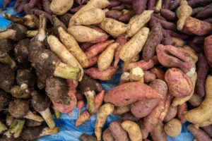 vegetables and tubers 